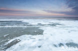 Waddensea