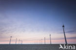 Windfarm
