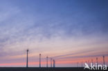 Windfarm