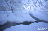 Apachinsky hot springs