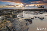 Bamburgh Castle