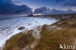 Bamburgh Castle