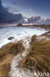 Bamburgh Castle