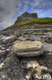 Lindisfarne Castle