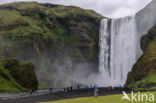 Skogafoss