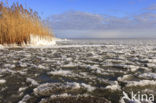 IJsselmeer