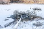 Kootwijkerveen