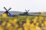 Lage land van Texel