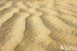 National Park Drents-Friese Wold