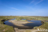 National Park Duinen van Texel 