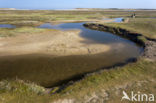 National Park Duinen van Texel 