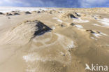 National Park Duinen van Texel