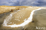 Nationaal Park Duinen van Texel