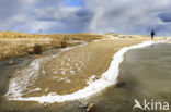 Nationaal Park Duinen van Texel