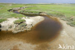 National Park Duinen van Texel 