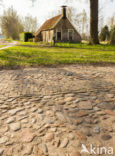 National Park Dwingelderveld