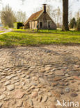 Nationaal Park Dwingelderveld