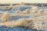 Nationaal Park Veluwezoom