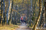 Nationaal Park Veluwezoom