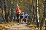 Nationaal Park Veluwezoom