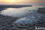 Noordzeestrand