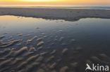 Noordzeestrand