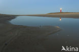 Noordzeestrand