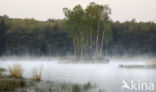 Veluwe