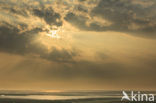 Waddensea