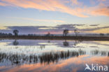 Kootwijkerzand