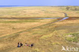 National Park Schiermonnikoog