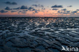 Waddenzee