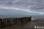 Waddenzee