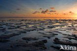 Wadden Sea