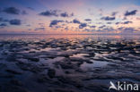 Wadden Sea