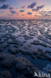 Wadden Sea