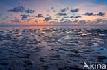 Waddenzee