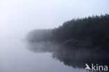 Biebrza National Park