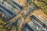 Harm van de Veen ecoduct