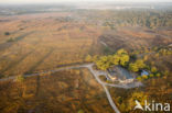 Hoog Buurlose Heide