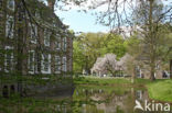 Kasteel Het Nijenhuis