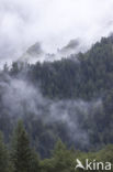 Mont Blanc de Courmayeur