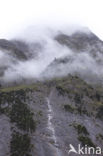 Mont Blanc de Courmayeur