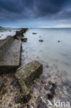 Nationaal Park Oosterschelde