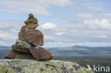 Natuurreservaat Stadjan Nipfjället