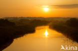 Amsterdamse waterleidingduinen