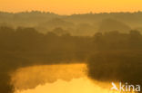 Amsterdamse waterleidingduinen