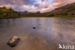 Blea Tarn