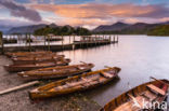 Derwentwater