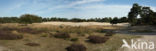 National Park Loonse en Drunense Duinen